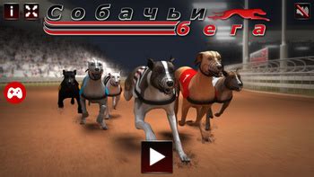 Собачьи Бега Greyhound Racing  Играть Бесплатно  Настольные игры